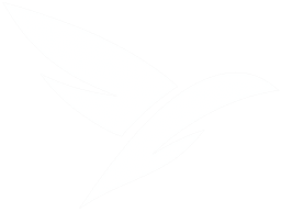 Ixea